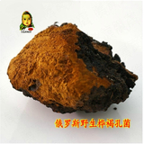 洋品多俄罗斯野生桦褐孔菌 1斤 正宗 白桦茸 桦树泪茸黄桦树胆 桦树黄