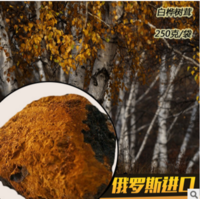 洋品多俄罗斯进口桦树茸1000克